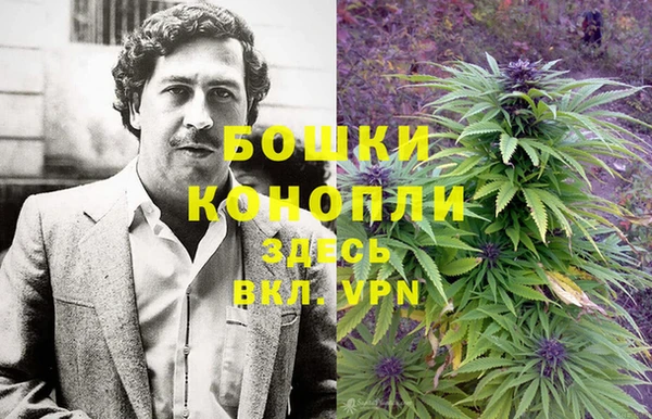 2c-b Белокуриха