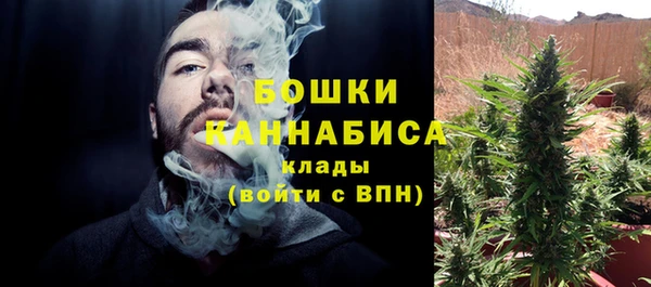 2c-b Белокуриха