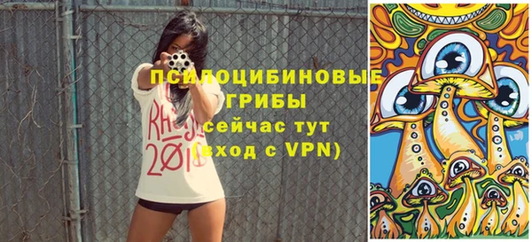 2c-b Белокуриха