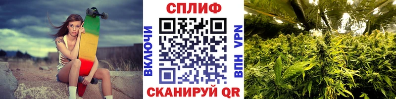 Каннабис Amnesia  Облучье 